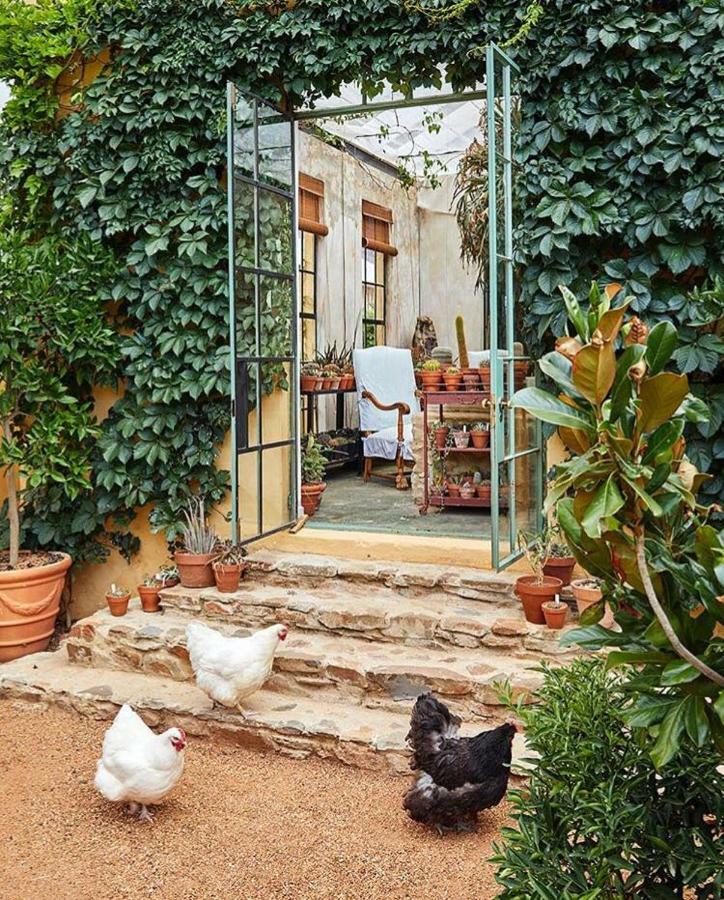 Jonkmanshof - 20 Bath Bed & Breakfast Montagu Bagian luar foto
